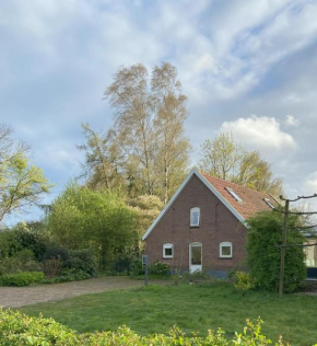 Vakantiehuis De Fiere - wijngaard Zutphen